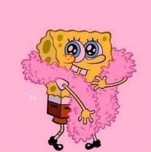 Meet your Posher, Ava